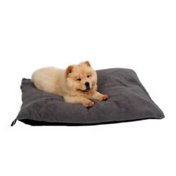 51 Degrees North Sheep Hundekissen -Bester Tierserien Laden 51 degrees north sheep hondenkussen 141479 0500 none