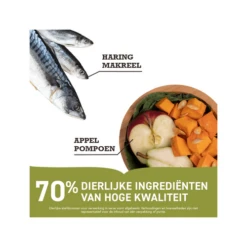 Acana Pacifica Dog Regionals -Bester Tierserien Laden acana pacifica dog regionals 205205 0500 none