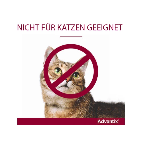 Advantix® 4 Advantix® – Bild 2