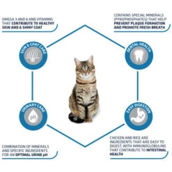 Affinity Advance Adult Huhn & Reis - Katze 10 Affinity Advance Adult Huhn & Reis - Katze -Bester Tierserien Laden affinity advance adult kip en rijst kat 178249 0500 none