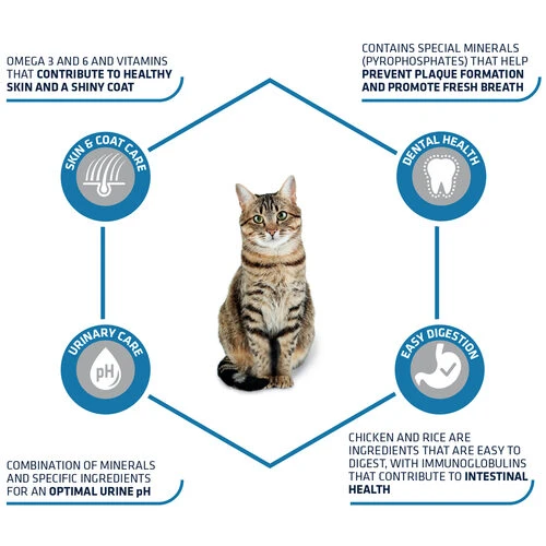 Affinity Advance Adult Huhn & Reis - Katze 5 Affinity Advance Adult Huhn & Reis - Katze – Bild 3