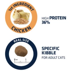 Affinity Advance Adult Huhn & Reis - Katze 13 Affinity Advance Adult Huhn & Reis - Katze -Bester Tierserien Laden affinity advance adult kip en rijst kat 178252 0500 none