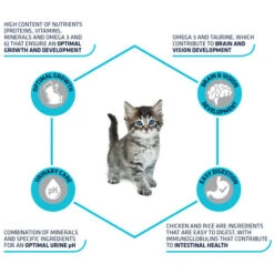 Affinity Advance Kitten Huhn Und Reis -Bester Tierserien Laden affinity advance kitten kip en rijst kat 178231 0500 none