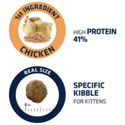 Affinity Advance Kitten Huhn Und Reis -Bester Tierserien Laden affinity advance kitten kip en rijst kat 178234 0500 none