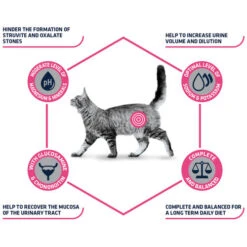 Affinity Advance Veterinary Diets Urinary Katze 21 Affinity Advance Veterinary Diets Urinary Katze -Bester Tierserien Laden affinity advance veterinary diets urinary kat 176905 0500 none