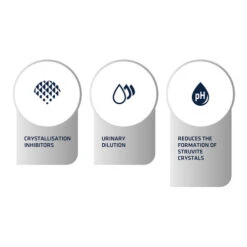 Affinity Advance Veterinary Diets Urinary Katze 16 Affinity Advance Veterinary Diets Urinary Katze -Bester Tierserien Laden affinity advance veterinary diets urinary kat 176908 0500 none