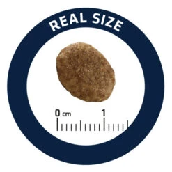 Affinity Advance Veterinary Diets Urinary Katze 20 Affinity Advance Veterinary Diets Urinary Katze -Bester Tierserien Laden affinity advance veterinary diets urinary kat 176911 0500 none