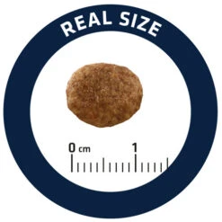 Affinity Advance Veterinary Diets Urinary Stress Katze -Bester Tierserien Laden affinity advance veterinary diets urinary stress kat 176821 0500 none