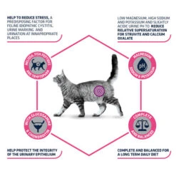 Affinity Advance Veterinary Diets Urinary Stress Katze -Bester Tierserien Laden affinity advance veterinary diets urinary stress kat 176836 0500 none