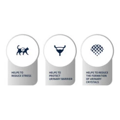 Affinity Advance Veterinary Diets Urinary Stress Katze -Bester Tierserien Laden affinity advance veterinary diets urinary stress kat 176839 0500 none