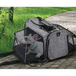 AFP Travel Dog - Hundetransportbox Mit Rollen -Bester Tierserien Laden afp travel dog rolling pet carrier 213521 0500 none