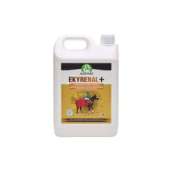 Audevard Ekyrenal + -Bester Tierserien Laden audevard ekyrenal 152761 0500 none