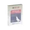 Avicas -Bester Tierserien Laden avicas 216756 0500 none