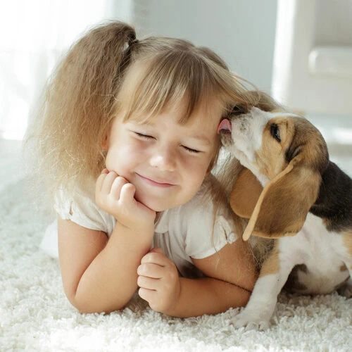 Beaphar Fiprotec Spray 7 Beaphar Fiprotec Spray – Bild 5