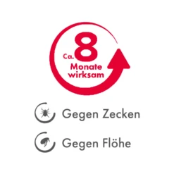 Beaphar Flöhe- Und Zekenband Hund -Bester Tierserien Laden beaphar vlooien en tekenband 221690 0500 none