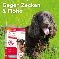 Beaphar Flöhe- Und Zekenband Hund -Bester Tierserien Laden beaphar vlooien en tekenband 221692 0500 none