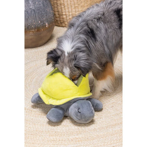 Beeztees Hide And Seek Schildo 6 Beeztees Hide And Seek Schildo – Bild 4