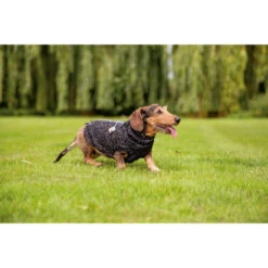 Beeztees Hundepullover Celia -Bester Tierserien Laden beeztees hondentrui celia 219140 0500 none