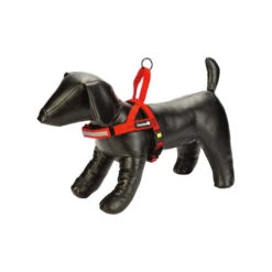 Beeztees Parinca Premium Comfort Hundegeschirr -Bester Tierserien Laden beeztees parinca premium comfort hondentuig 198551 0500 none