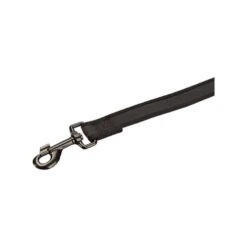 Beeztees Parinca Premium Webleine (Schleppleine) -Bester Tierserien Laden beeztees parinca premium weblijn 200144 0500 none