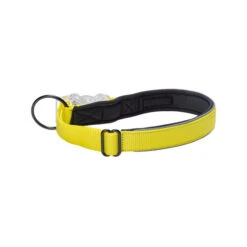 Beeztees Safety Gear Parinca Premium Halsband 11 Beeztees Safety Gear Parinca Premium Halsband -Bester Tierserien Laden beeztees safety gear parinca premium halsband 214985 0500 none