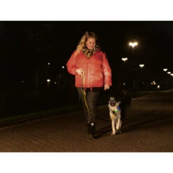 Beeztees Safety Gear Parinca Premium Halsband 17 Beeztees Safety Gear Parinca Premium Halsband -Bester Tierserien Laden beeztees safety gear parinca premium halsband 215009 0500 none