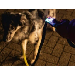 Beeztees Safety Gear Parinca Premium Hundeleine 14 Beeztees Safety Gear Parinca Premium Hundeleine -Bester Tierserien Laden beeztees safety gear parinca premium hondenriem 215036 0500 none