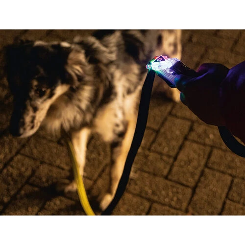 Beeztees Safety Gear Parinca Premium Hundeleine 7 Beeztees Safety Gear Parinca Premium Hundeleine – Bild 5