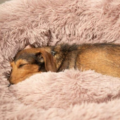 Beeztees Yali Plüsch-Donut-Bett - Grau -Bester Tierserien Laden beeztees yali pluche donutmand 216351 0500 none