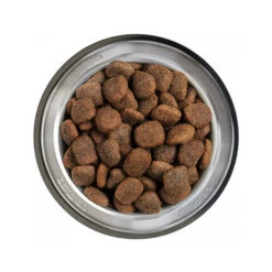 Belcando Adult Getreidefreies Hundefutter -Bester Tierserien Laden belcando adult graanvrij 217780 0500 none