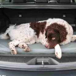 Bia Original Matratze Grau -Bester Tierserien Laden bia original matras grijs 164077 0500 none