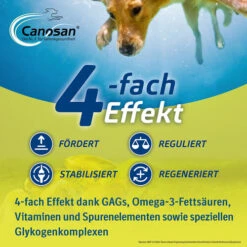 Canosan® Kautabletten Für Hunde -Bester Tierserien Laden canosan kauwtabletten voor hond 213641 0500 none