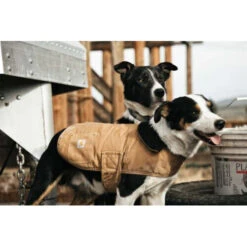Carhartt Dog Chore Coat -Bester Tierserien Laden carhartt dog chore coat 186748 0500 none