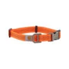 Carhartt Tradesman Hundehalsband 2 Carhartt Tradesman Hundehalsband -Bester Tierserien Laden carhartt tradesman dog collar 186577 0500 none