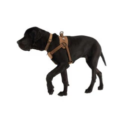 Carhartt Work Dog Harness -Bester Tierserien Laden carhartt work dog harness 186805 0500 none