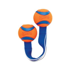 Chuckit! Ultra Duo Tug -Bester Tierserien Laden chuckit ultra duo tug 122951 0500 none
