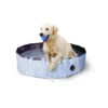 CoolPets Hundepool 1 CoolPets Hundepool -Bester Tierserien Laden coolpets zwembad 198146 0500 none