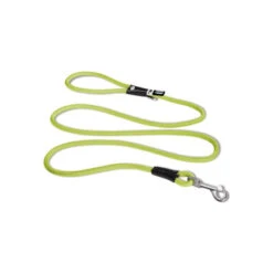 Curli Stretch Comfort Leine -Bester Tierserien Laden curli stretch comfort leash 219163 0500 none