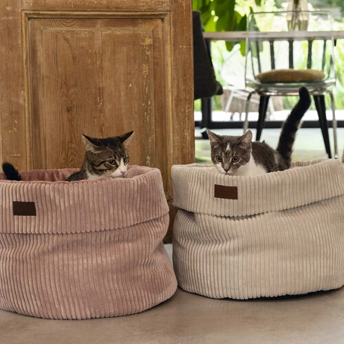 Designed By Lotte Gerippter Katzenkorb 10 Designed By Lotte Gerippter Katzenkorb – Bild 8