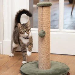 Designed By Lotte Kratzbaum Yenna -Bester Tierserien Laden designed by lotte krabpaal yenna 164437 0500 none