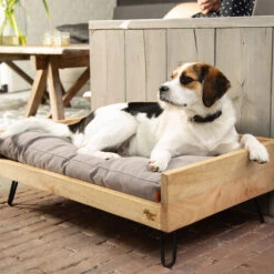 Designed By Lotte Hundebett Turana 6 Designed By Lotte Hundebett Turana -Bester Tierserien Laden designed by lotte ligmand turana 170029 0500 none