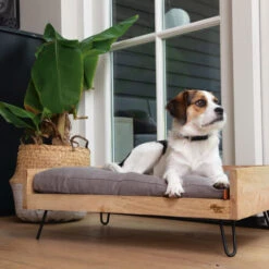 Designed By Lotte Hundebett Turana 7 Designed By Lotte Hundebett Turana -Bester Tierserien Laden designed by lotte ligmand turana 170032 0500 none