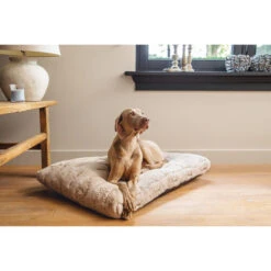 Designed By Lotte Xanti Hundekissen -Bester Tierserien Laden designed by lotte xanti hondenkussen 188124 0500 none