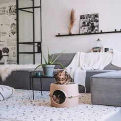 District 70 Bunker 14 District 70 Bunker -Bester Tierserien Laden district 70 bunker 190954 0500 none