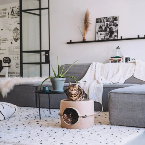 District 70 Bunker 7 District 70 Bunker – Bild 5