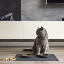 District 70 Serve Placemat 20 District 70 Serve Placemat -Bester Tierserien Laden district 70 serve placemat 209750 0500 none