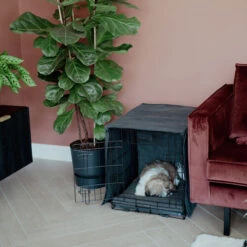 District 70 Sherpa Liegematte -Bester Tierserien Laden district 70 sherpa bench mat 191723 0500 none