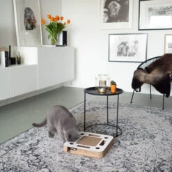 District 70 Spy 12 District 70 Spy -Bester Tierserien Laden district 70 spy 133861 0500 none