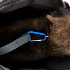 Doctor Bark Hundetragetasche 12 Doctor Bark Hundetragetasche -Bester Tierserien Laden doctor bark honden draagtas 202157 0500 none