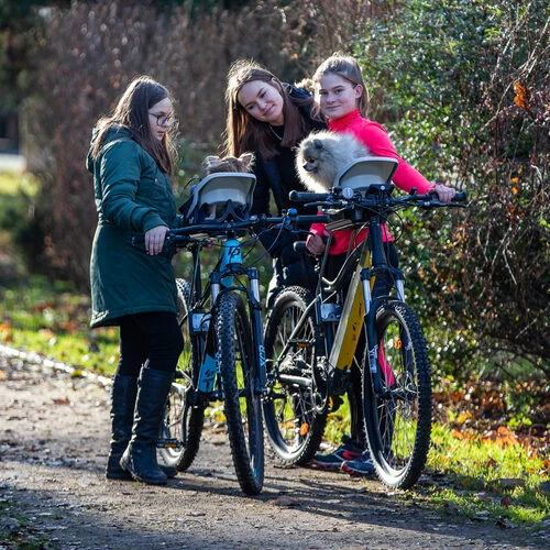 Dogrider Dog Seat 8 Dogrider Dog Seat – Bild 6